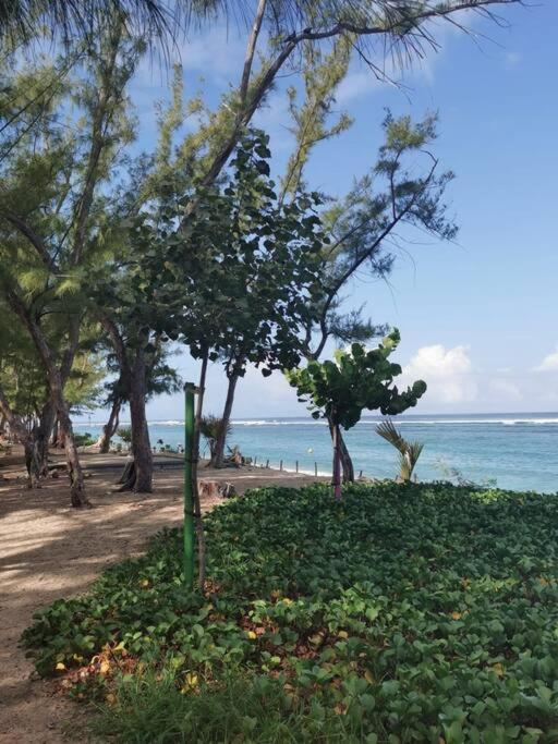 Beau T3 Litchi Vue Ocean Piscine Apartment Saint-Gilles-les Bains Exterior foto